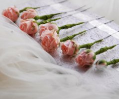 Villa Richter - Praha