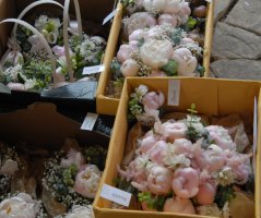 Japonská zahrada v Troji