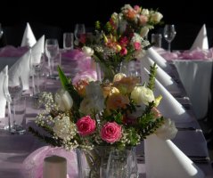 Pavilon Grébovka s unikátní historickou vinicí