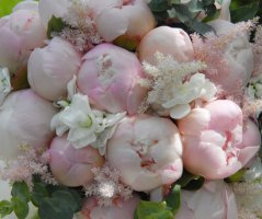 Japonská zahrada v Troji