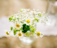 Svatba na zámku Čechtice