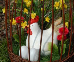 Jaro 2019 - dekorace