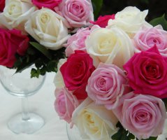 Romantika v St.Havel