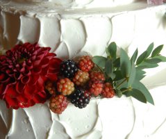 Svatba v Horse Parku