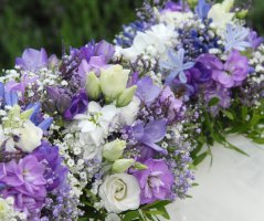 Svatba na zámku Veltrusy