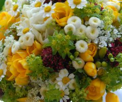 Luční svatba v Grébovce