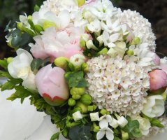 Bledě růžová svatba