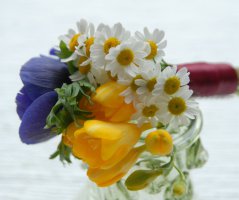 V penzionu "V polích"