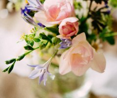 Svatba na zámku Čechtice