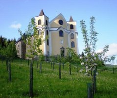 Svatba v kostele Neratov