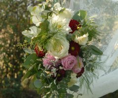 Svatba v Horse Parku