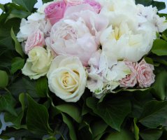 Svatba v Martinickém paláci