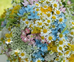 Svatba v kostele Neratov