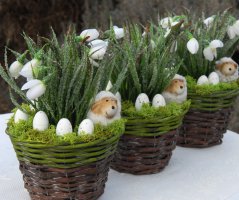 Jaro 2019 - dekorace