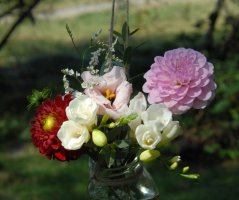 Svatba v Horse Parku