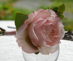 Svatba v Green Valley