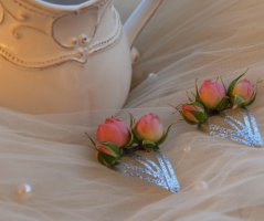 Pavilon Grébovka s unikátní historickou vinicí