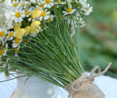 Letní svatba na louce