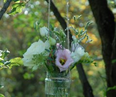 Svatba v Horse Parku