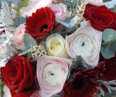 Vánoční svatba v Průhonicích