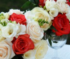 Svatba v barvě korálu