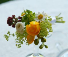 Luční svatba v Grébovce