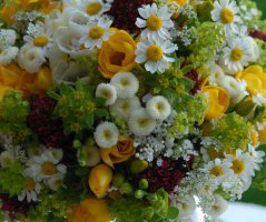 Luční svatba v Grébovce