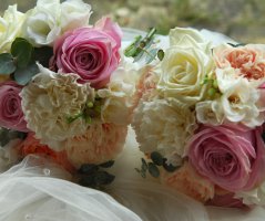 Svatba na Vyšehradě