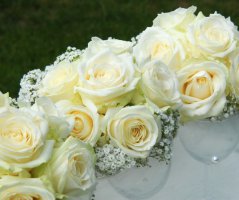 Svatba na Dobříšském zámku