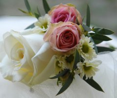 Svatba v Penzionu v polích