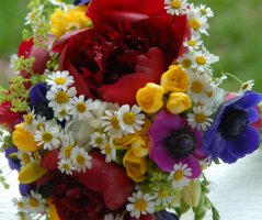 V penzionu "V polích"