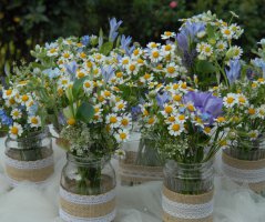 Luční svatba ve Dvoře Hoffmeister