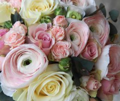 Villa Richter - Praha