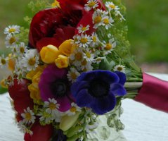 V penzionu "V polích"