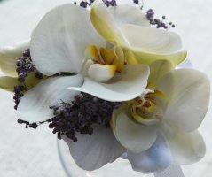 Svatba ve fialových tonech