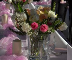 Pavilon Grébovka s unikátní historickou vinicí