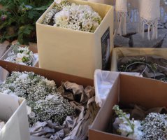 Jemná jarní svatba