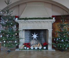 Vánoční svatba v Průhonicích