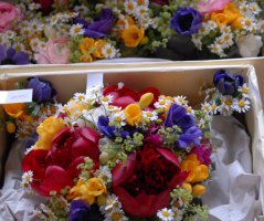 V penzionu "V polích"