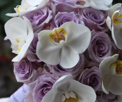 Svatba ve fialových tonech