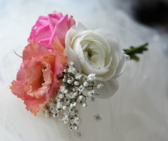 Pavilon Grébovka s unikátní historickou vinicí