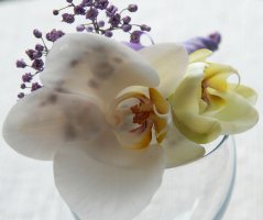 Svatba ve fialových tonech