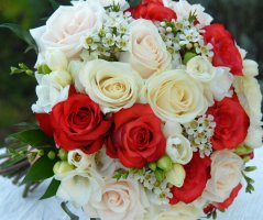 Svatba v barvě korálu