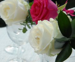 Romantika v St.Havel