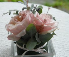 Svatba v Green Valley