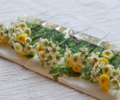 Letní svatba na louce