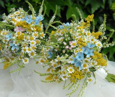 Svatba v kostele Neratov