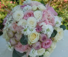 Svatba na Dobříšském zámku