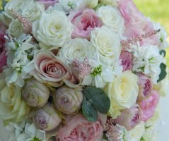 Svatba na Dobříšském zámku