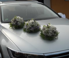 Svatba na zámku Veltrusy